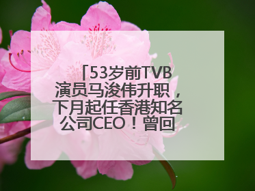 53岁前TVB演员马浚伟升职，下月起任香港知名公司CEO！曾回应“考公上岸”：真不是公务员
