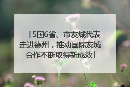 5国6省、市友城代表走进德州，推动国际友城合作不断取得新成效