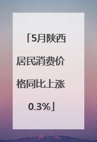 5月陕西居民消费价格同比上涨0.3%