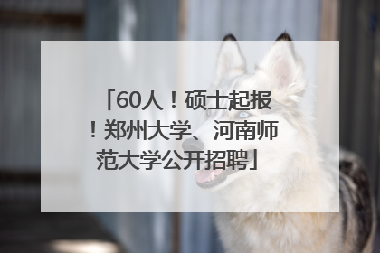60人！硕士起报！郑州大学、河南师范大学公开招聘