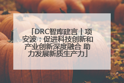 DRC智库建言丨项安波：促进科技创新和产业创新深度融合 助力发展新质生产力