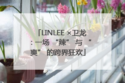 LINLEE ×卫龙：一场 “辣” 与 “爽” 的跨界狂欢