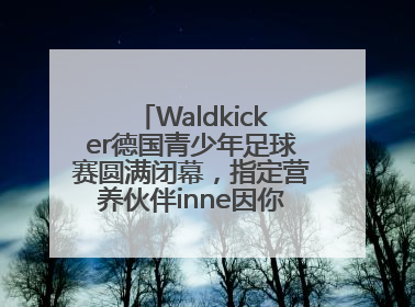Waldkicker德国青少年足球赛圆满闭幕，指定营养伙伴inne因你陪伴少年前行